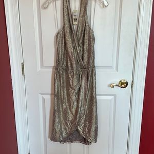 NWT Ramy Brook Maura Dress (size large)